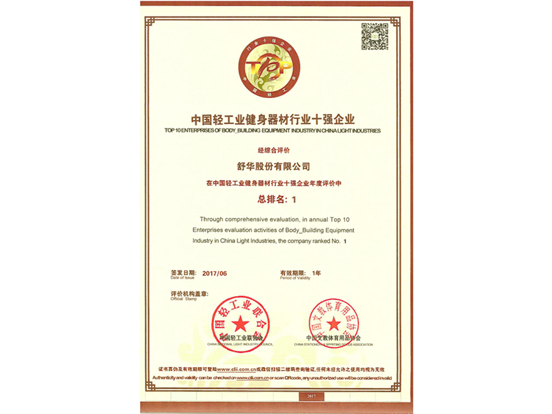 2017年中国轻工业健身器材行业十强企业.png